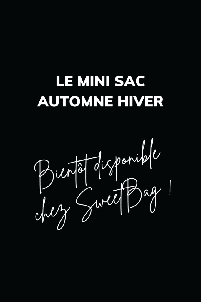 tendance-automne-hiver-mini-sac-sweetbag